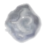 戰士的印記(體能強化)